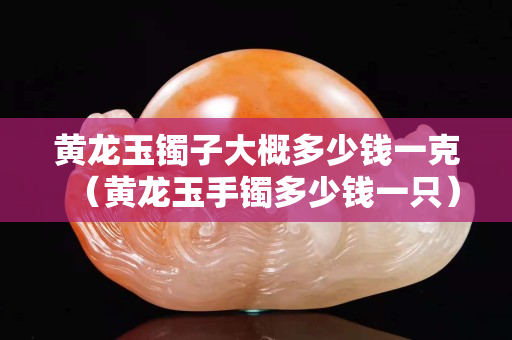 黃龍玉鐲子大概多少錢一克（黃龍玉手鐲多少錢一只）