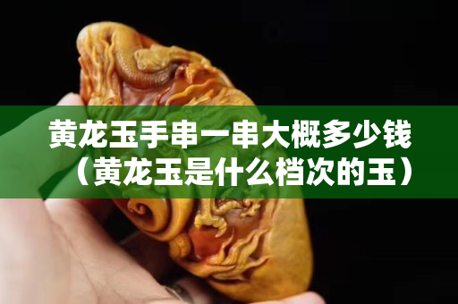 黃龍玉手串一串大概多少錢（黃龍玉是什么檔次的玉）