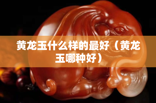 黃龍玉什么樣的最好(黃龍玉哪種好) 黃龍玉什么樣的最好(黃龍玉哪種好)