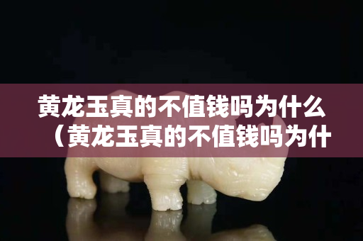 黃龍玉真的不值錢嗎為什么（黃龍玉真的不值錢嗎為什么那么貴）