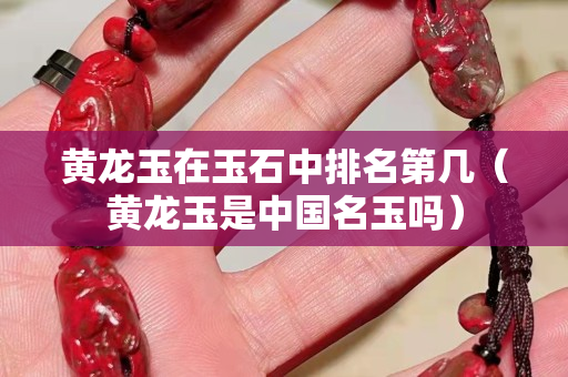 黃龍玉在玉石中排名第幾（黃龍玉是中國名玉嗎）