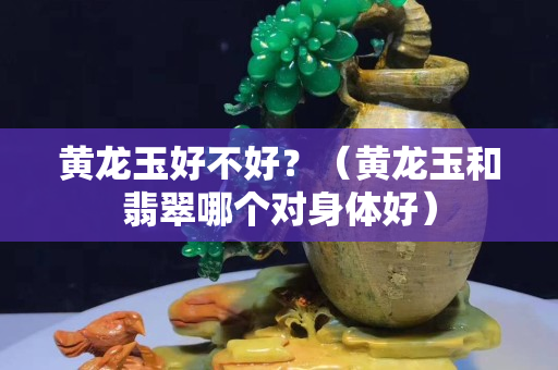 黃龍玉好不好？（黃龍玉和翡翠哪個對身體好）