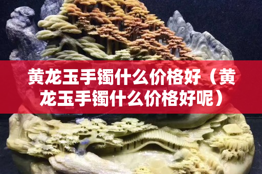 黃龍玉手鐲什么價格好（黃龍玉手鐲什么價格好呢）