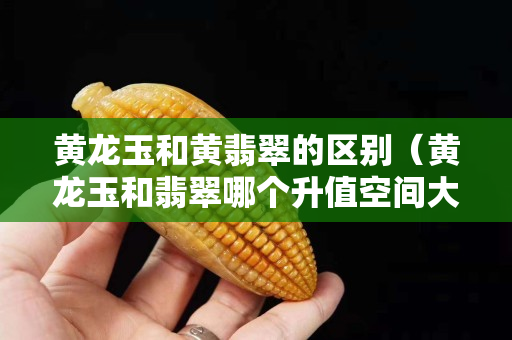 黃龍玉和黃翡翠的區別（黃龍玉和翡翠哪個升值空間大）