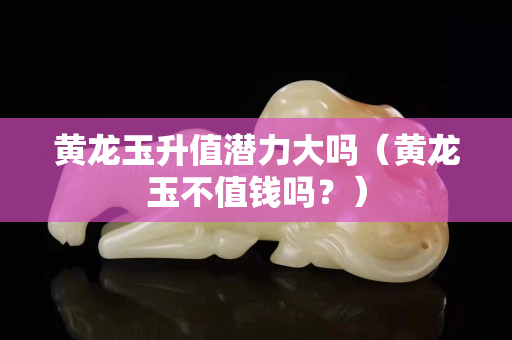 黃龍玉升值潛力大嗎（黃龍玉不值錢嗎？）