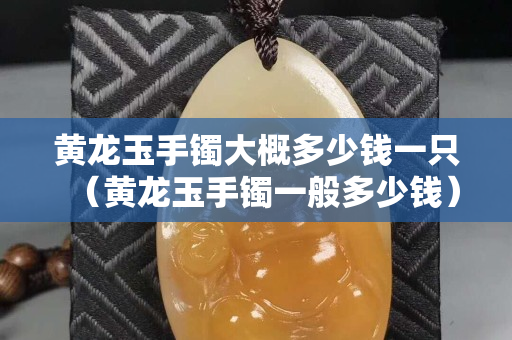 黃龍玉手鐲大概多少錢一只（黃龍玉手鐲一般多少錢）