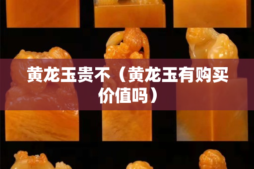 黃龍玉貴不（黃龍玉有購買價值嗎）