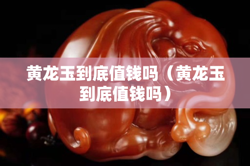 黃龍玉到底值錢嗎（黃龍玉到底值錢嗎）