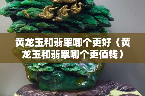 黃龍玉和翡翠哪個更好（黃龍玉和翡翠哪個更值錢）