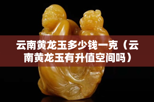 云南黃龍玉多少錢一克（云南黃龍玉有升值空間嗎）