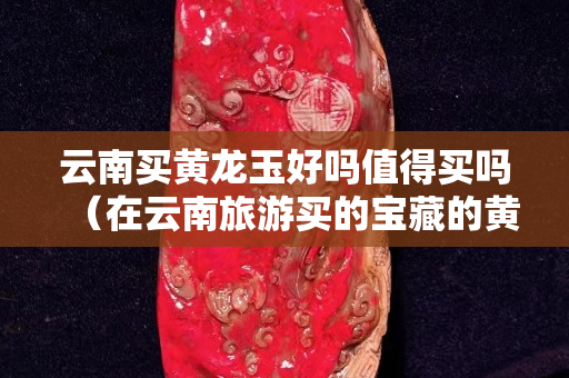 云南買黃龍玉好嗎值得買嗎（在云南旅游買的寶藏的黃龍玉真的假的）