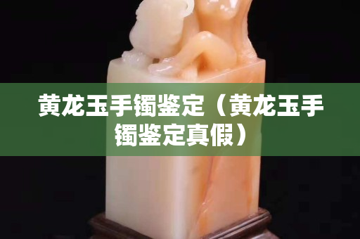 黃龍玉手鐲鑒定（黃龍玉手鐲鑒定真假）