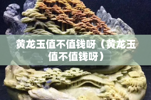 黃龍玉值不值錢呀（黃龍玉值不值錢呀）