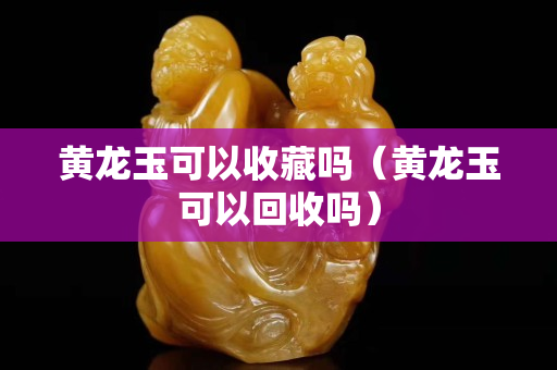 黃龍玉可以收藏嗎（黃龍玉可以回收嗎）