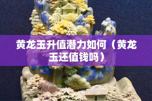 黃龍玉升值潛力如何（黃龍玉還值錢嗎）