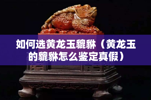 如何選黃龍玉貔貅（黃龍玉的貔貅怎么鑒定真假）