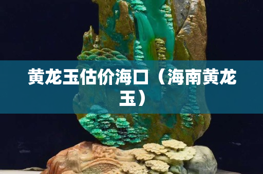 黃龍玉估價海口（海南黃龍玉）