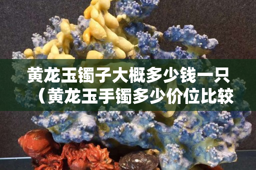黃龍玉鐲子大概多少錢一只（黃龍玉手鐲多少價位比較合適）