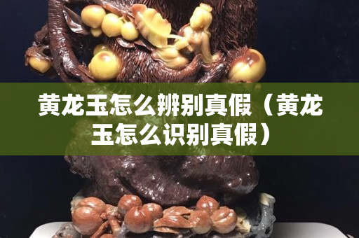 黃龍玉怎么辨別真假（黃龍玉怎么識別真假）