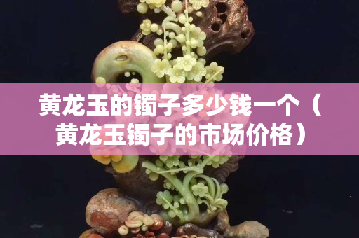黃龍玉的鐲子多少錢一個（黃龍玉鐲子的市場價格）