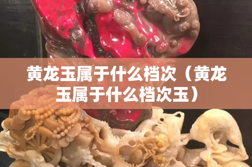 黃龍玉屬于什么檔次（黃龍玉屬于什么檔次玉）