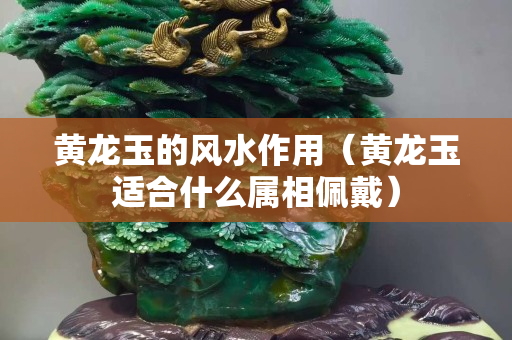 黃龍玉的風(fēng)水作用(黃龍玉適合什么屬相佩戴) 黃龍玉的風(fēng)水作用(黃龍玉適合什么屬相佩戴)
