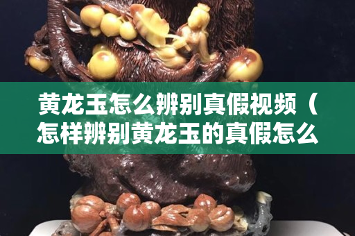 黃龍玉怎么辨別真假視頻（怎樣辨別黃龍玉的真假怎么看出來）