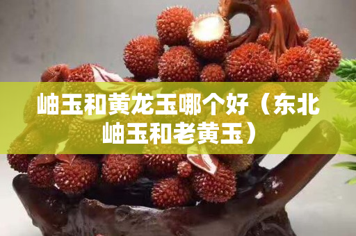 岫玉和黃龍玉哪個好（東北岫玉和老黃玉）
