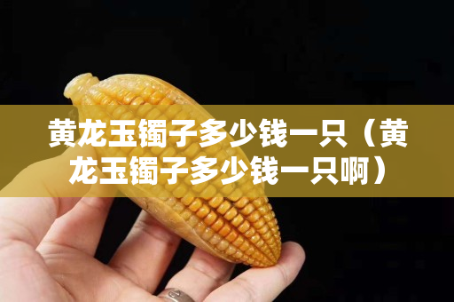 黃龍玉鐲子多少錢一只（黃龍玉鐲子多少錢一只啊）