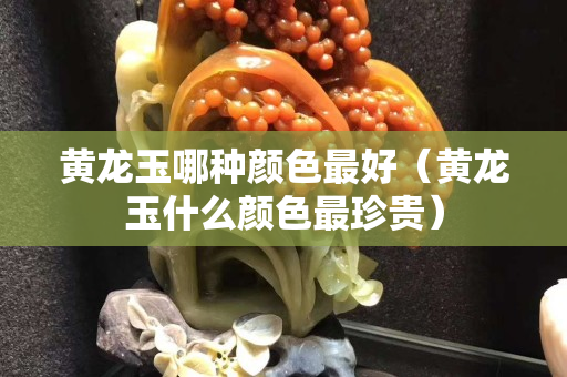 黃龍玉哪種顏色最好（黃龍玉什么顏色最珍貴）