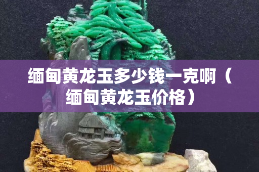 緬甸黃龍玉多少錢一克啊（緬甸黃龍玉價(jià)格）