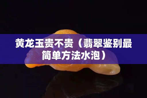 黃龍玉貴不貴（翡翠鑒別最簡單方法水泡）