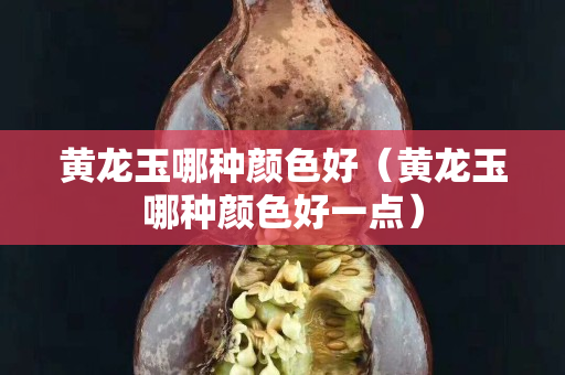 黃龍玉哪種顏色好（黃龍玉哪種顏色好一點）