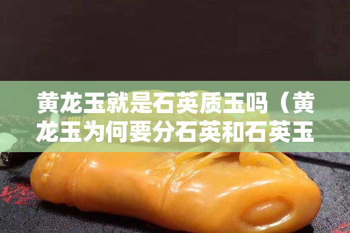 黃龍玉就是石英質(zhì)玉嗎（黃龍玉為何要分石英和石英玉）