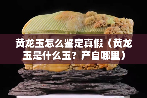 黃龍玉怎么鑒定真假（黃龍玉是什么玉？產(chǎn)自哪里）