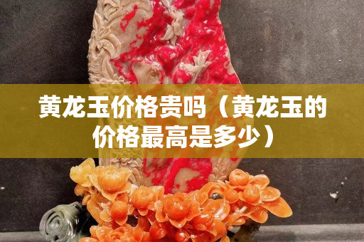 黃龍玉價格貴嗎（黃龍玉的價格最高是多少）