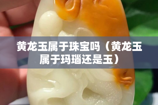 黃龍玉屬于珠寶嗎（黃龍玉屬于瑪瑙還是玉）