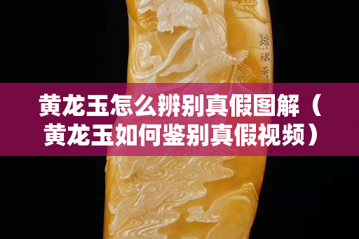 黃龍玉怎么辨別真假圖解（黃龍玉如何鑒別真假視頻）