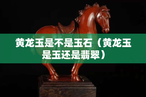 黃龍玉是不是玉石（黃龍玉是玉還是翡翠）