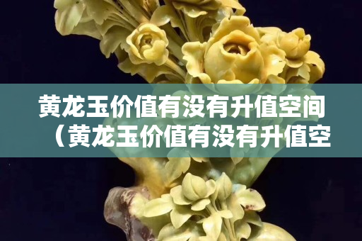 黃龍玉價值有沒有升值空間（黃龍玉價值有沒有升值空間大）