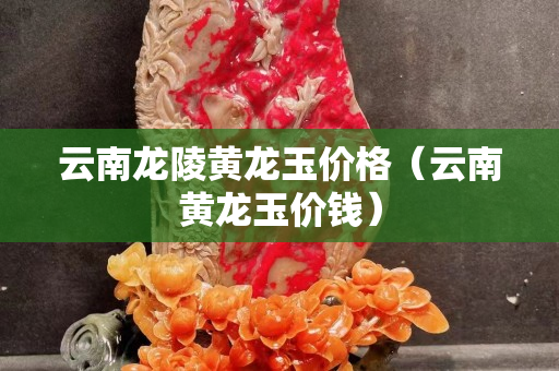 云南龍陵黃龍玉價格（云南黃龍玉價錢）