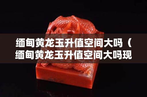 緬甸黃龍玉升值空間大嗎（緬甸黃龍玉升值空間大嗎現在）