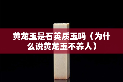 黃龍玉是石英質(zhì)玉嗎（為什么說黃龍玉不養(yǎng)人）