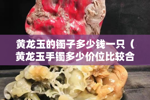 黃龍玉的鐲子多少錢一只（黃龍玉手鐲多少價位比較合適）