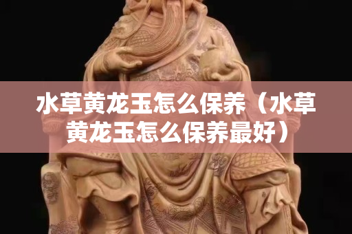 水草黃龍玉怎么保養（水草黃龍玉怎么保養最好）