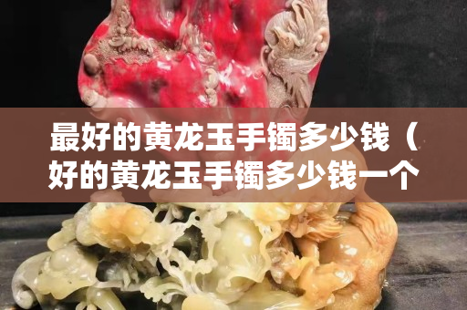 最好的黃龍玉手鐲多少錢（好的黃龍玉手鐲多少錢一個）