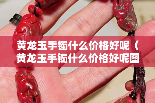 黃龍玉手鐲什么價格好呢（黃龍玉手鐲什么價格好呢圖片）
