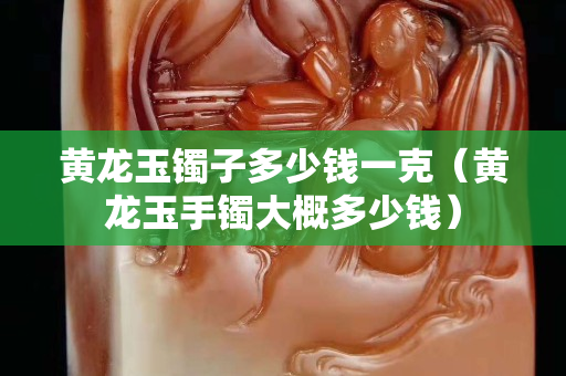 黃龍玉鐲子多少錢一克（黃龍玉手鐲大概多少錢）
