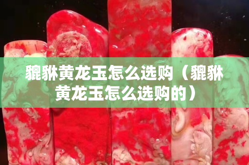 貔貅黃龍玉怎么選購（貔貅黃龍玉怎么選購的）