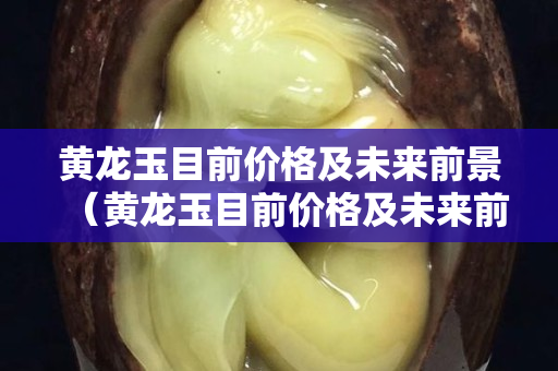 黃龍玉目前價格及未來前景（黃龍玉目前價格及未來前景分析）